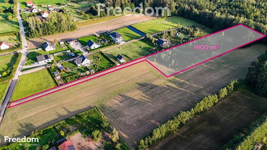 Działka budowlana na sprzedaż Polska Wieś  9 100m2 Foto 1