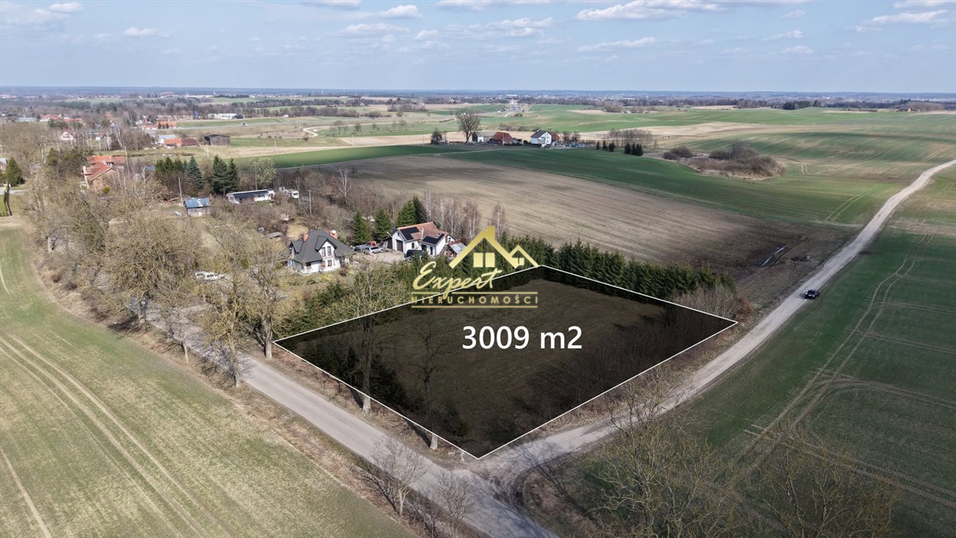 Działka 3009 m² z warunkami zabudowy w Ornowie - polecam! Ornowo  3 009m2 Foto 1