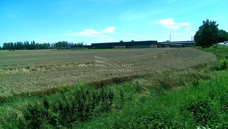 Działka inna na sprzedaż Jawor, Wiejska 10 951m2 Foto 1 Działka inna na sprzedaż Jawor, Wiejska 10 951m2 Foto 1