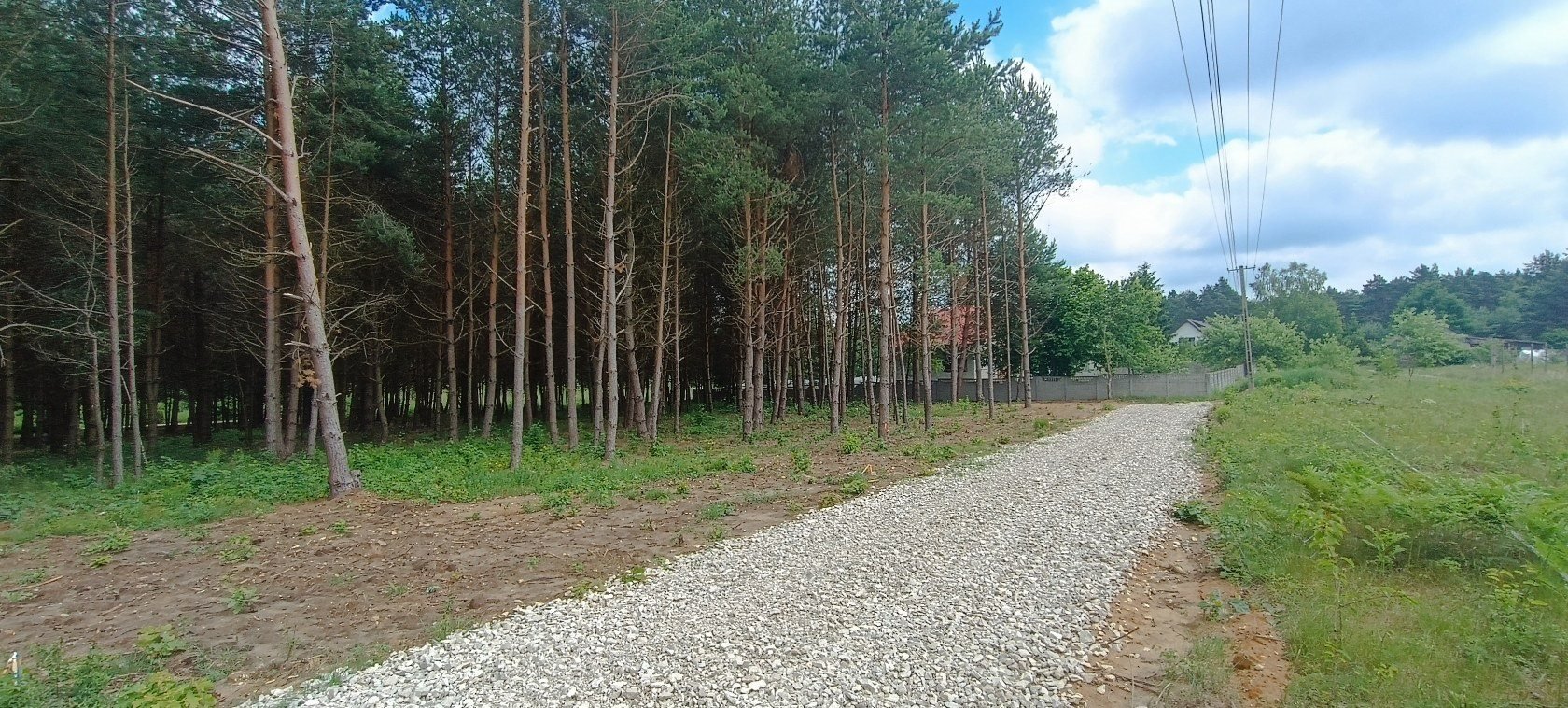 Działka budowlana na sprzedaż Daleszyce, Niwy  1 240m2 Foto 12