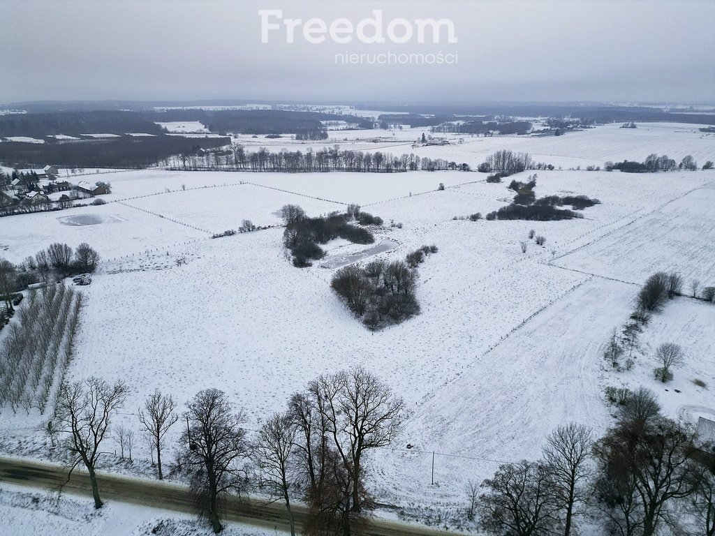 Działka inna na sprzedaż Bajdy  3 000m2 Foto 2