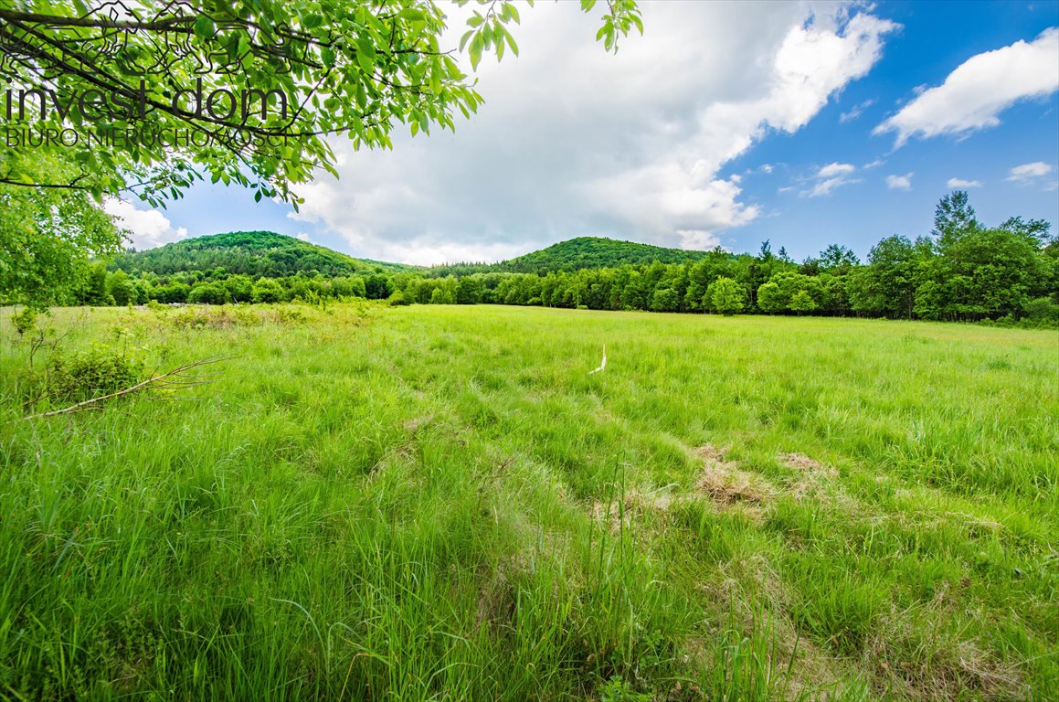 Działka budowlana na sprzedaż Wysowa-Zdrój  12 550m2 Foto 7