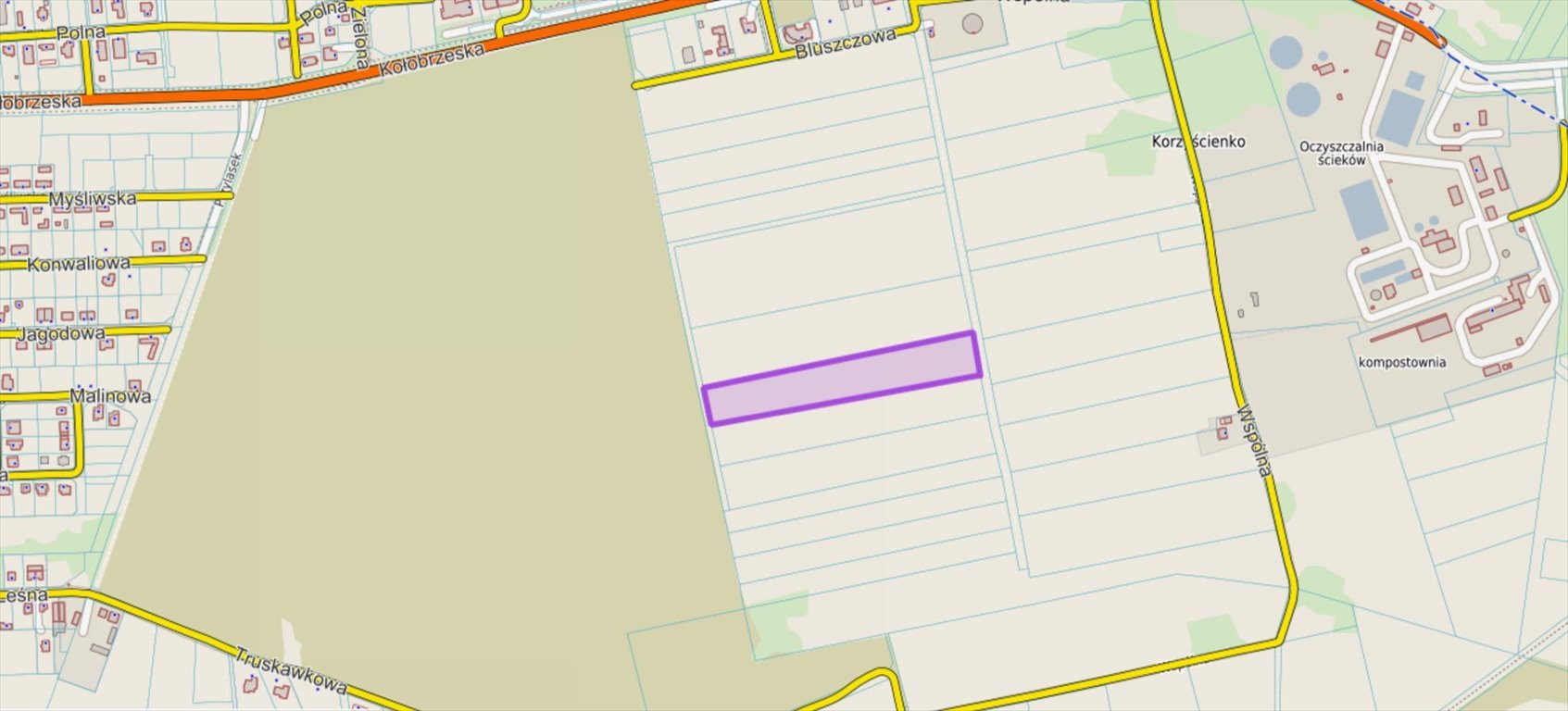 Do sprzedania działka inwestycyjna 18 272 m² w Kołobrzegu Korzystno, Korzystno  18 272m2 Foto 1