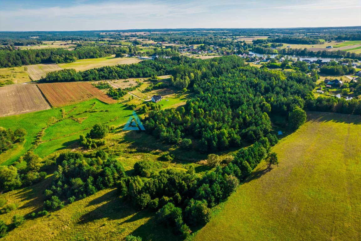 Działka siedliskowa na sprzedaż Rokity  10 001m2 Foto 2