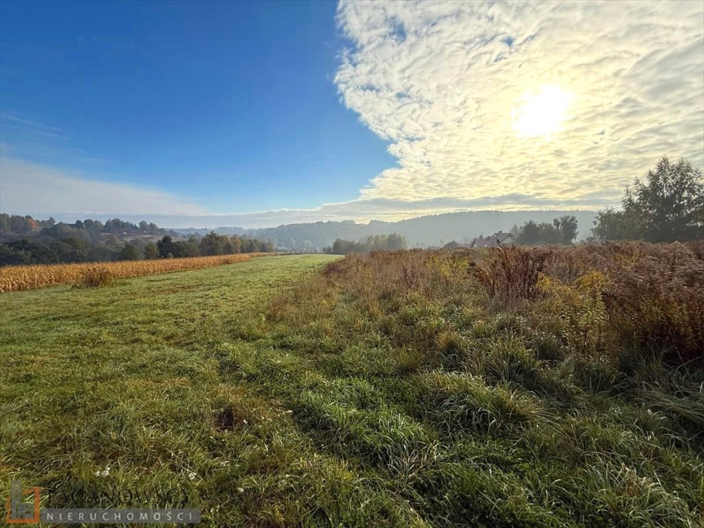 Działka budowlana na sprzedaż Owczary  9 701m2 Foto 1