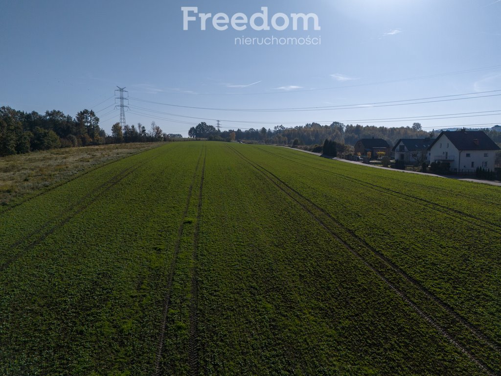 Działka inna na sprzedaż Brzeźnica, Świerkowa  19 000m2 Foto 12