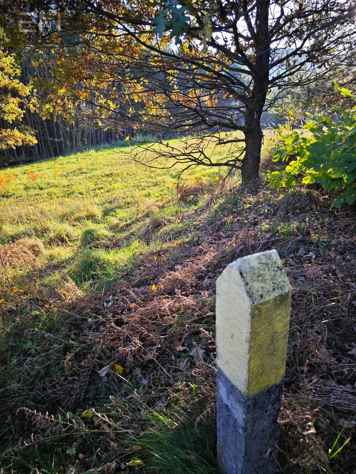 Działka budowlana na sprzedaż Wysoka Strzyżowska  2 700m2 Foto 7