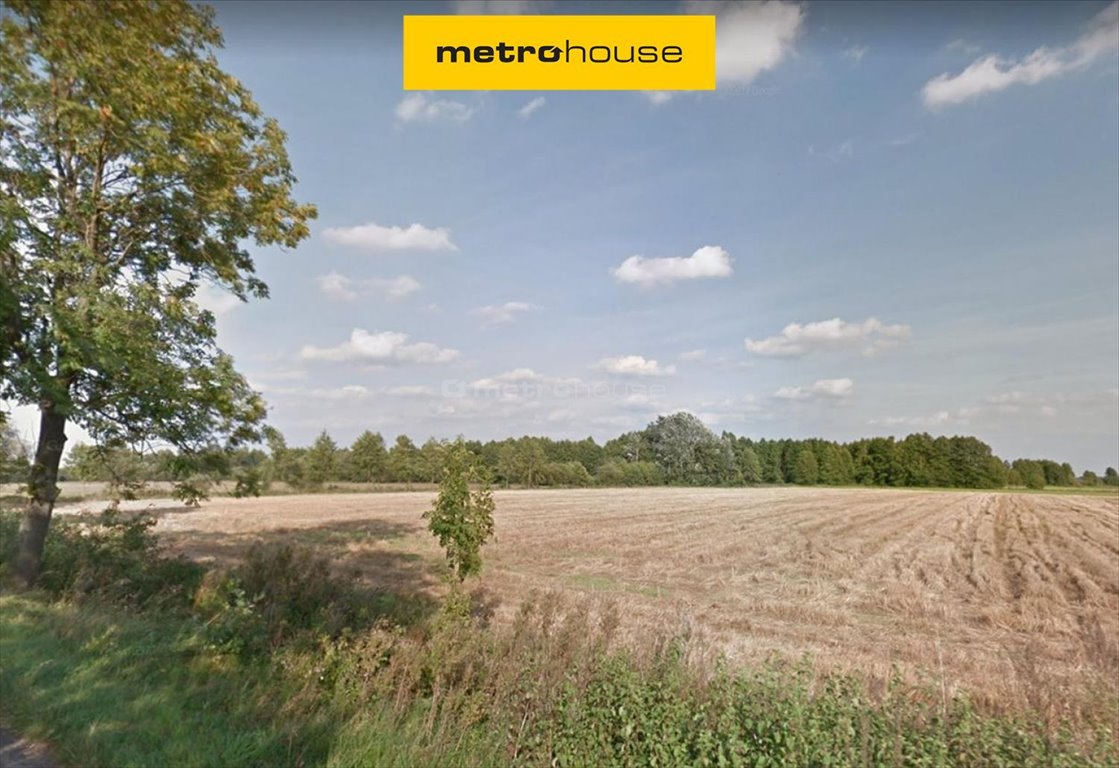 Działka inna na sprzedaż Dopiewo  30 000m2 Foto 1