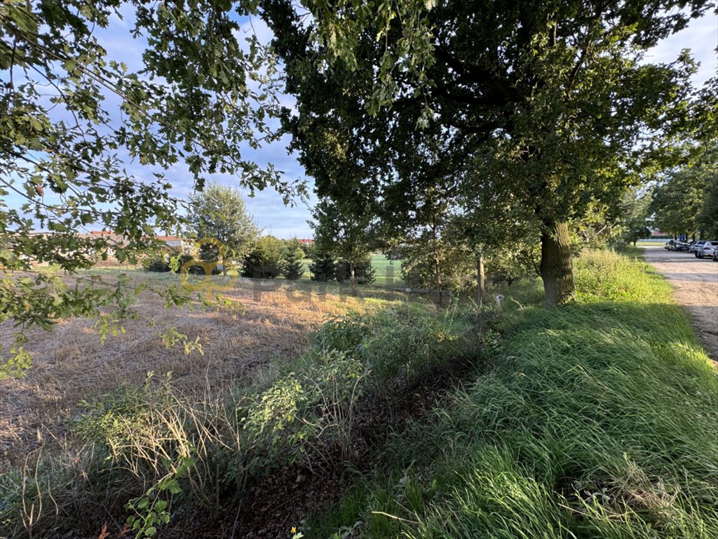 Działka 1712 m² z warunkami zabudowy w Dębnie Polskim Dębno Polskie  1 712m2 Foto 1