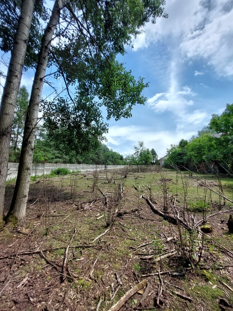 Działka budowlana na sprzedaż Rybnik, Kamień, Jodłowa  2 674m2 Foto 6