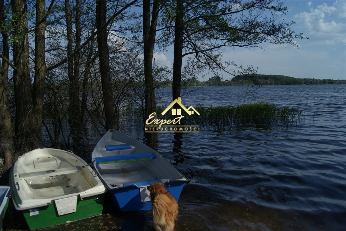 Zdjęcie 8