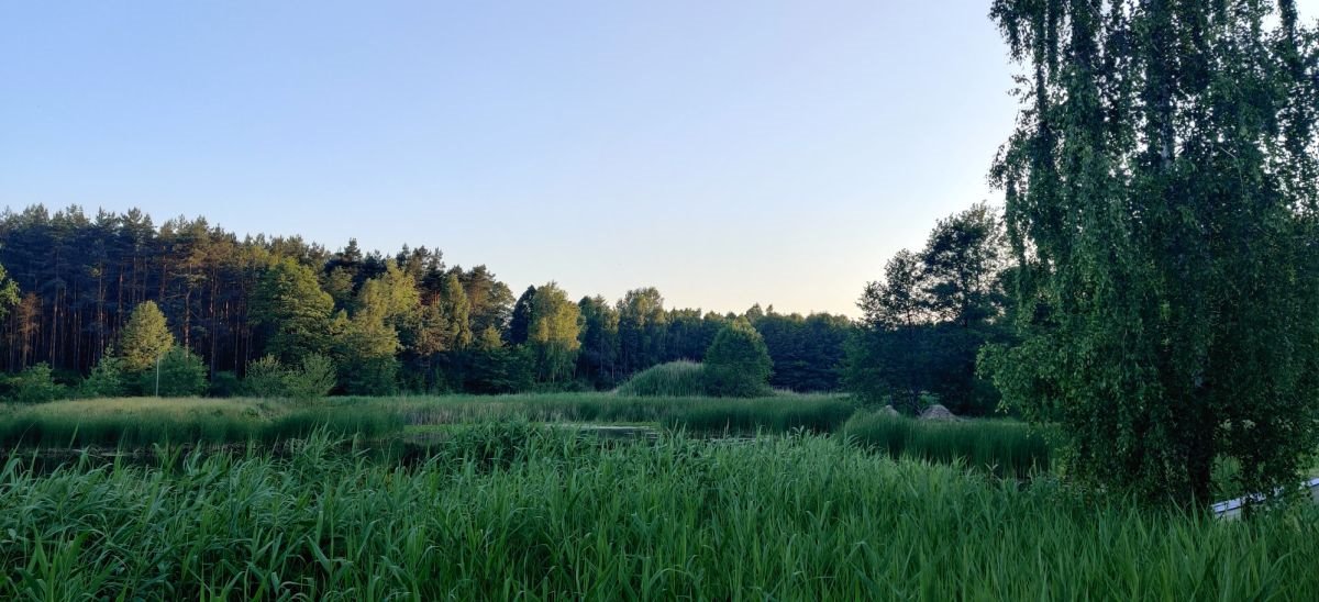 Lokal użytkowy na sprzedaż Tartak  52 600m2 Foto 18