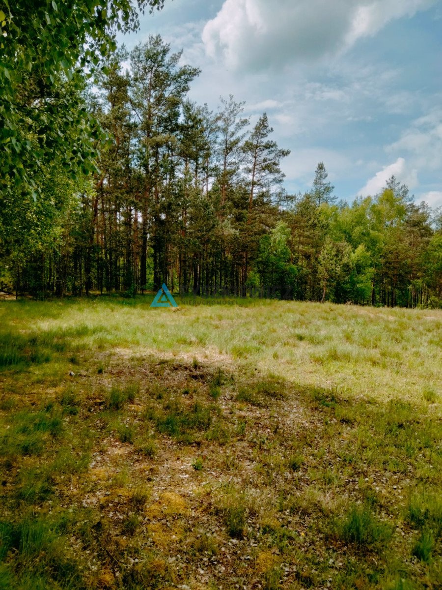 Działka przemysłowo-handlowa na sprzedaż Stara Kiszewa, Leśna  13 199m2 Foto 9