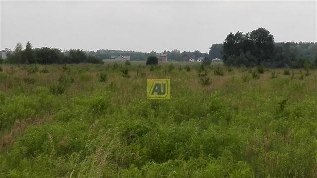 Działka budowlana na sprzedaż Nowe Racibory 15 000m2 Foto 1 Działka budowlana na sprzedaż Nowe Racibory 15 000m2 Foto 1