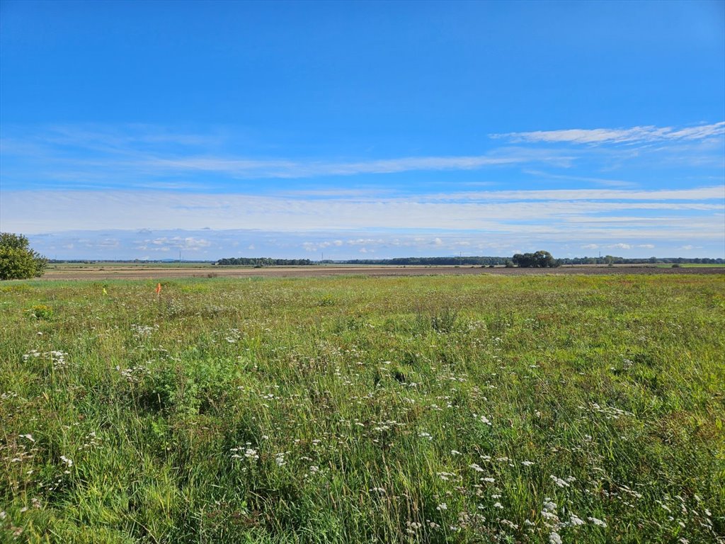 Działka 1578 m² z mediami i widokiem - rozliczenie za mieszkanie Szymanów  1 578m2 Foto 1