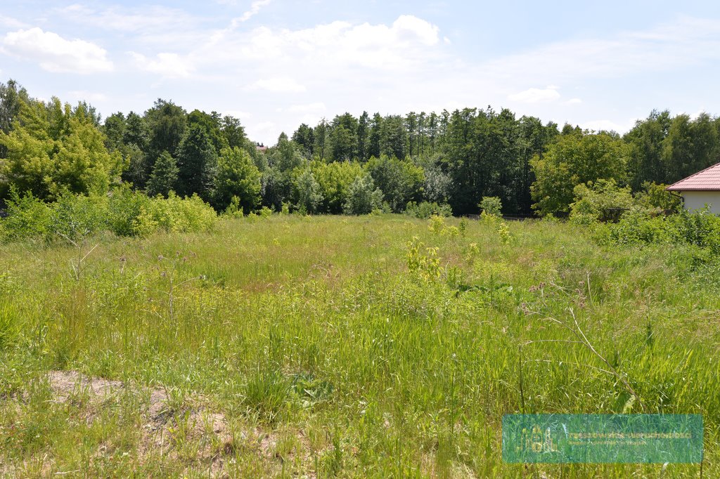 Działka budowlana na sprzedaż Rzeszów, Staroniwa  4 000m2 Foto 2