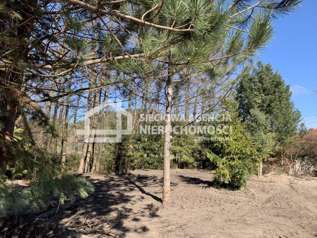 Działka 2500m² z stawem i lasem w Rumi - polecam Rumia  2 500m2 Foto 1