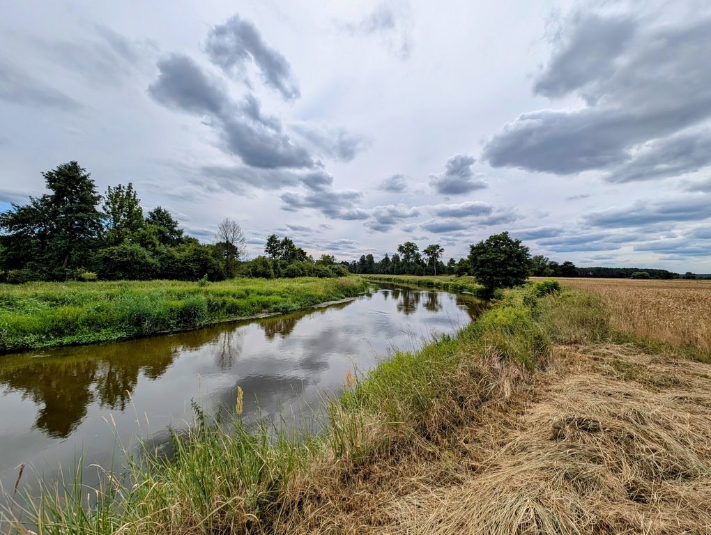 Działka rolna na sprzedaż Roszkowa Wola  15 400m2 Foto 2