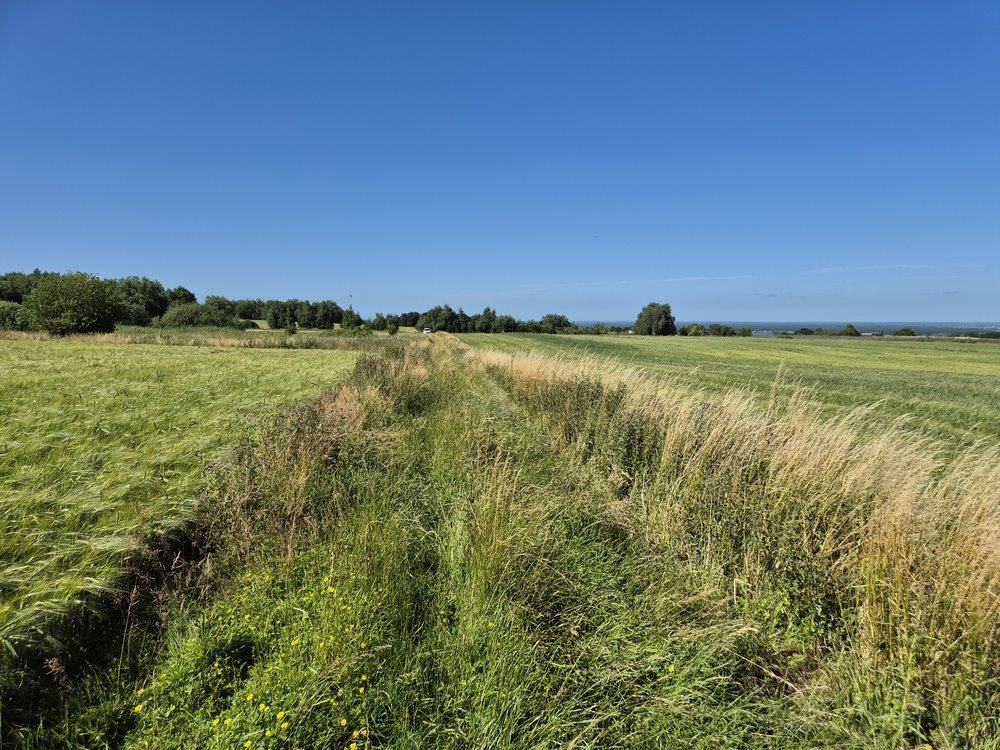 Do sprzedania działka budowlana 1109 m² w Skolwinie z potencjałem inwestycyjnym Szczecin, Skolwin  1 109m2 Foto 1