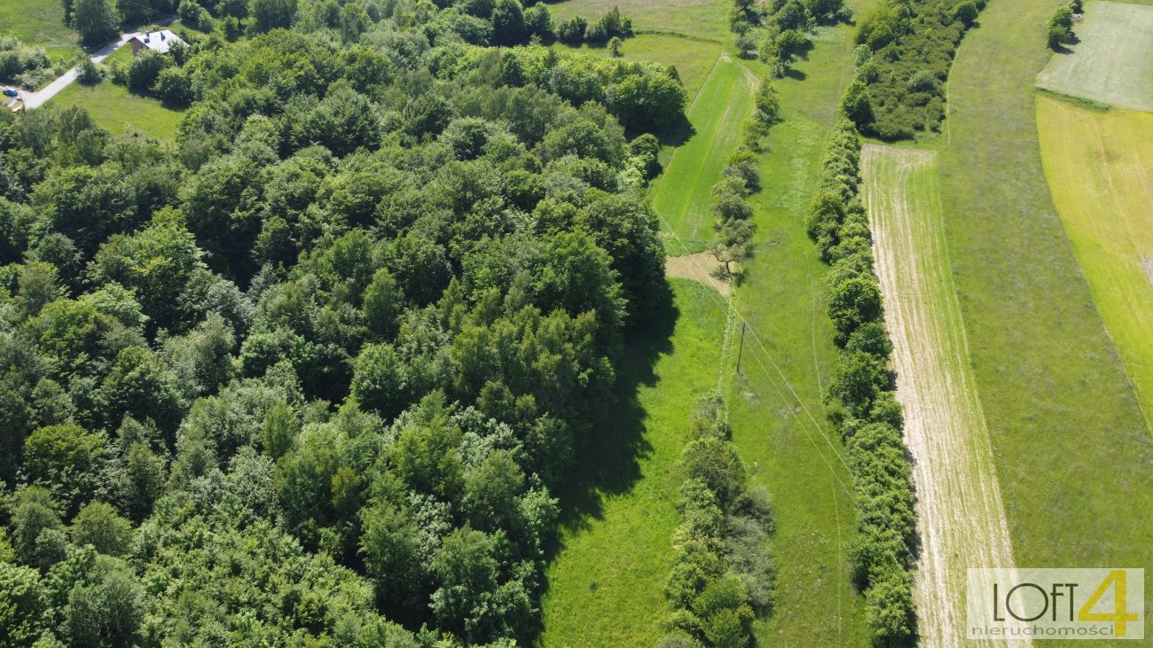 Działka inna na sprzedaż Łysa Góra  5 500m2 Foto 13