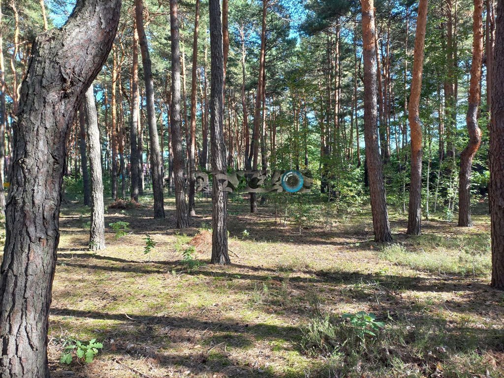 Działka budowlana na sprzedaż Józefów, Józefów, Ziarnista  1 200m2 Foto 8