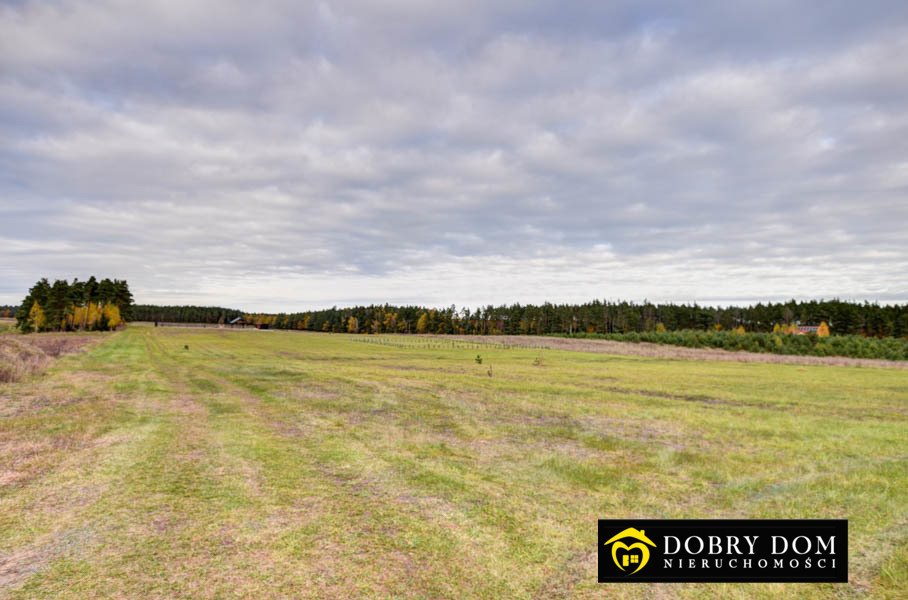 Działka budowlana na sprzedaż Danowskie  1 001m2 Foto 4