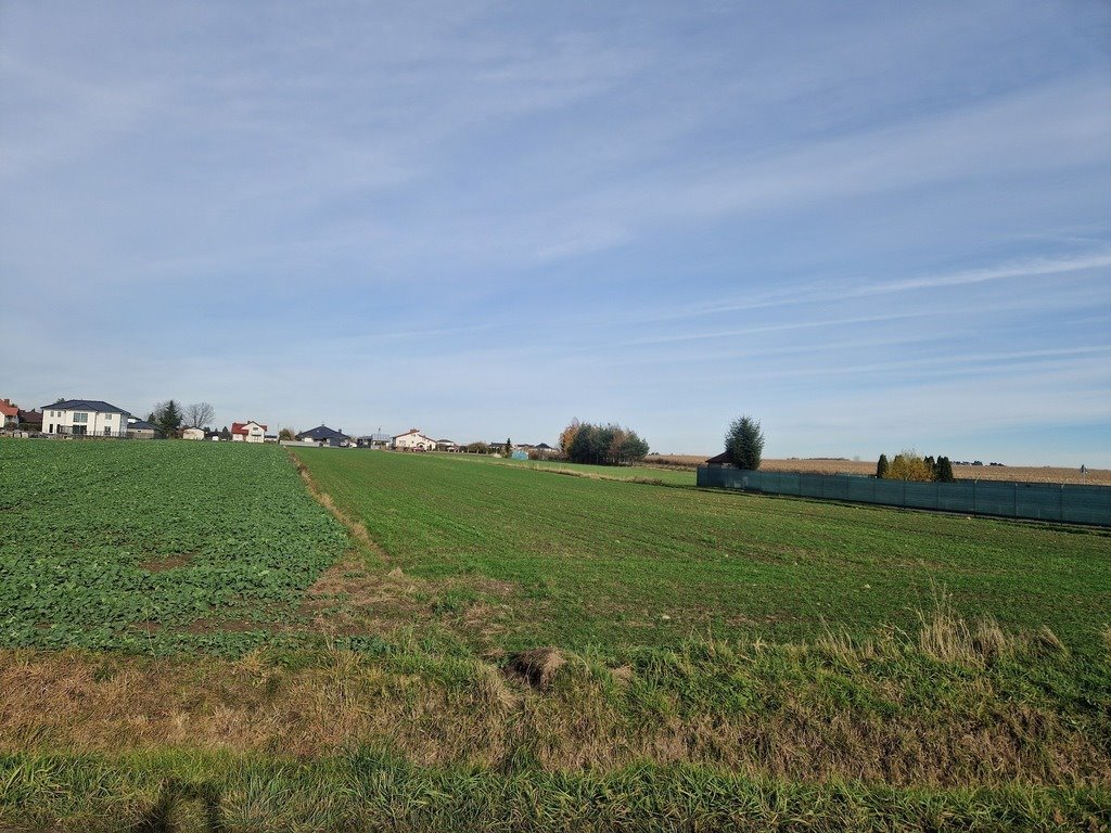 Działka 2954 m² przy ul. Mickiewicza, asfalt, nowe domy - zapraszam Bujny, Adama Mickiewicza  2 954m2 Foto 1