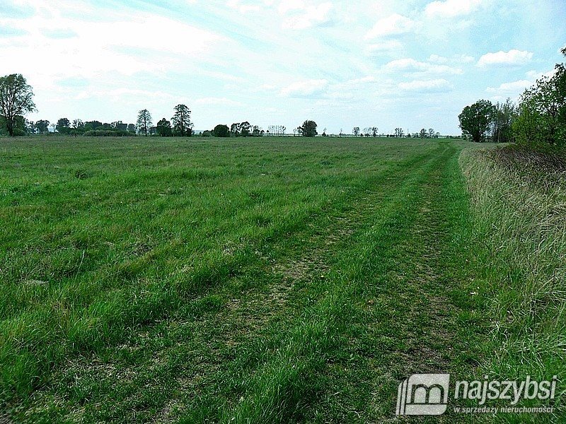 Działka rolna na sprzedaż Komarowo, Centrum  19 000m2 Foto 7