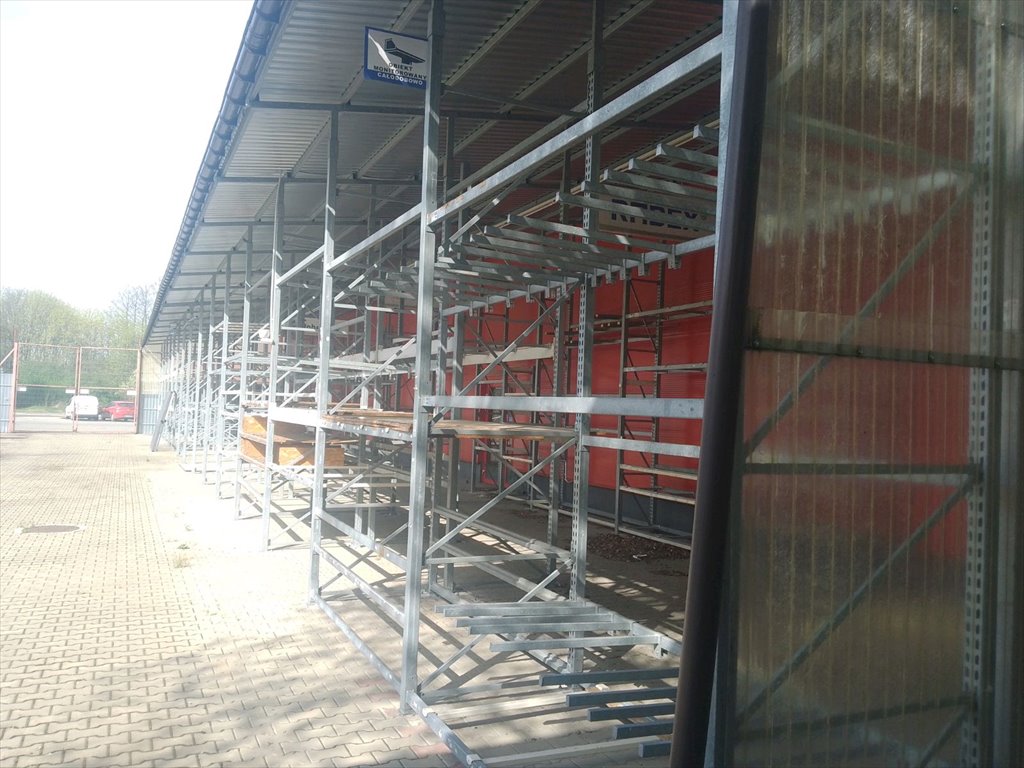 Zdjęcie 6