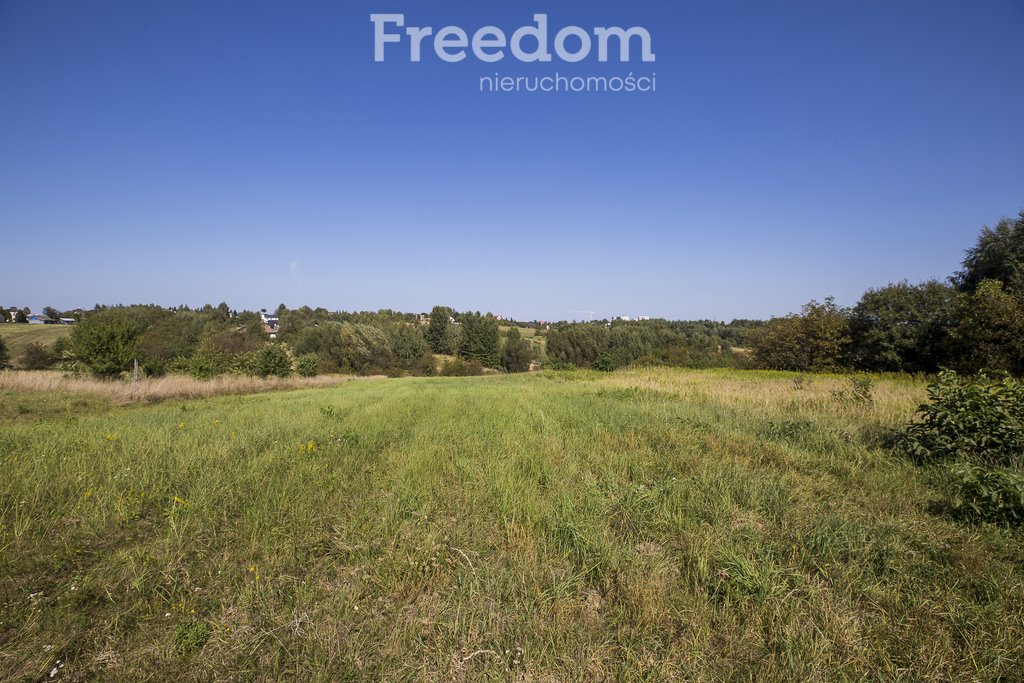 Działka budowlana na sprzedaż Kielanówka  5 500m2 Foto 9