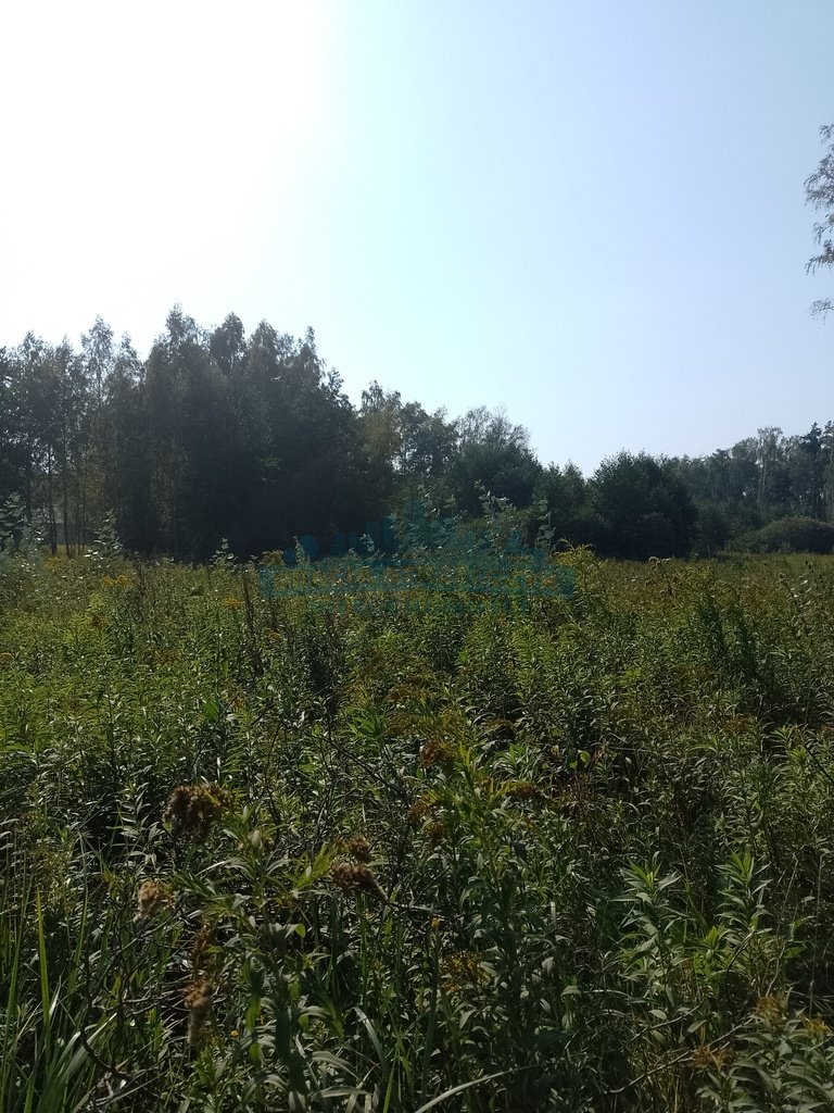 Działka budowlana na sprzedaż Izabelin-Dziekanówek  800m2 Foto 1