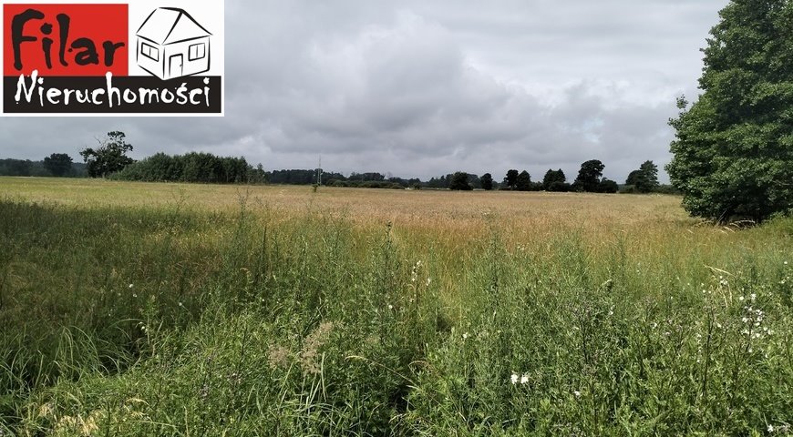 Działka inna na sprzedaż Nowe Dąbie  1 145m2 Foto 1