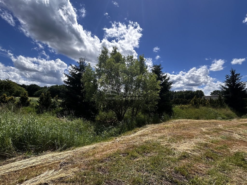 Działka budowlana na sprzedaż Skrzyszów  836m2 Foto 13