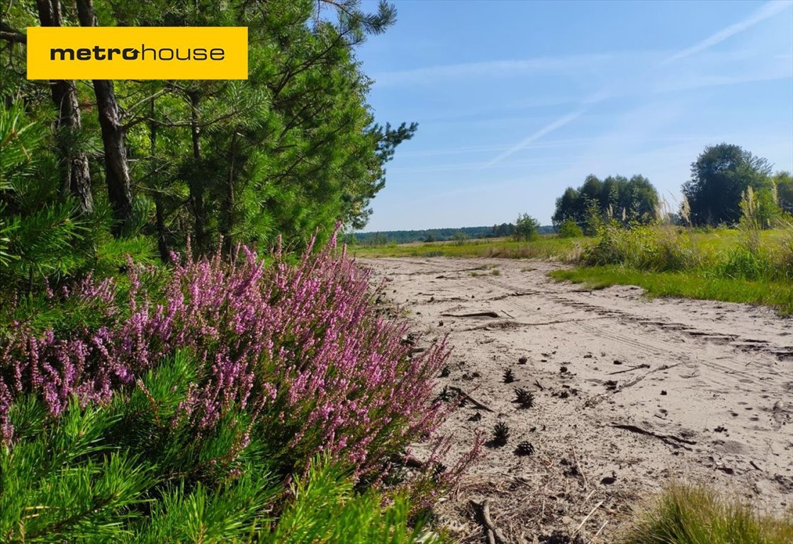 Działka inna na sprzedaż Helenów  3 000m2 Foto 1