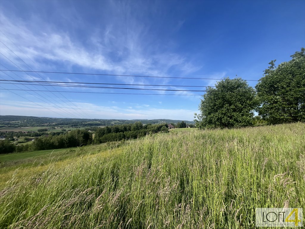 Działka inna na sprzedaż Zabłędza  6 300m2 Foto 5