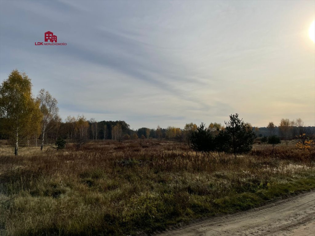 Działka budowlana na sprzedaż Zielona Góra  35 300m2 Foto 15