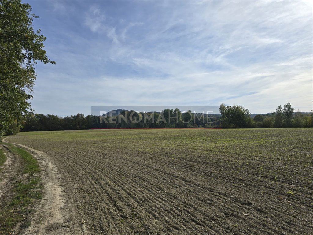 Działka gospodarstwo rolne na sprzedaż Sobótka, Tąpadła  90 500m2 Foto 8