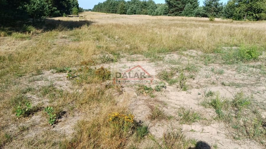 Działka budowlana na sprzedaż Grabów nad Pilicą, Lipinki  1 200m2 Foto 14