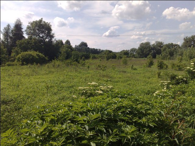 Działka budowlana na sprzedaż Dębówka, Słomczyn, Dębówka 10 900m2 Foto 1 Działka budowlana na sprzedaż Dębówka, Słomczyn, Dębówka 10 900m2 Foto 1