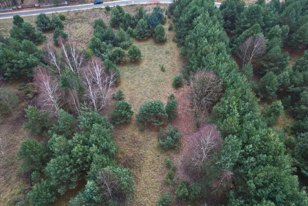 Działka budowlana na sprzedaż Stara Huta  2 950m2 Foto 6