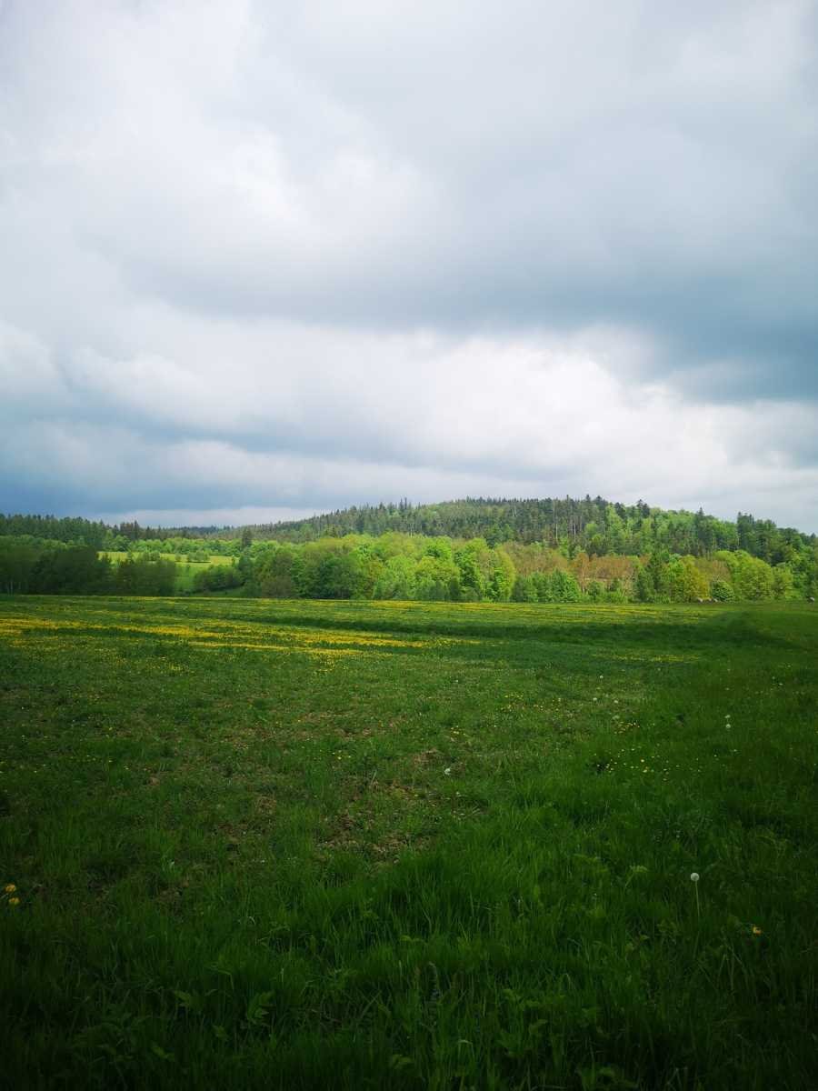 Działka gospodarstwo rolne na sprzedaż Bystrzyca Kłodzka  30 000m2 Foto 5