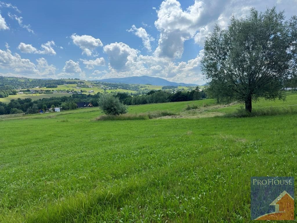 Dom na sprzedaż Stara Wieś  100m2 Foto 3