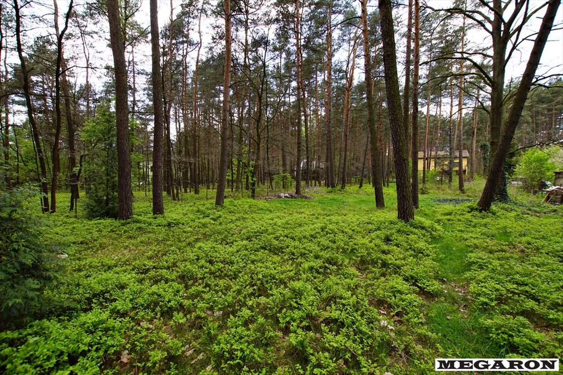 Działka inna na sprzedaż Żarki-Letnisko  3 180m2 Foto 5