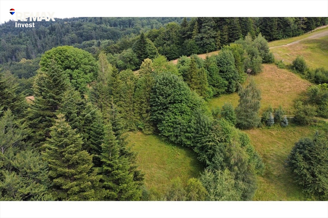 Działka 44 arów w Szczyrku - las, cisza, inwestycja Szczyrk, Cicha  440m2 Foto 1