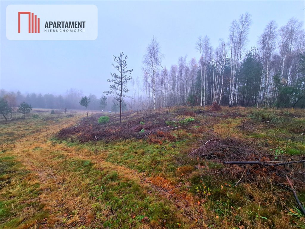 Działka budowlana na sprzedaż Sikorzyno  1 194m2 Foto 5