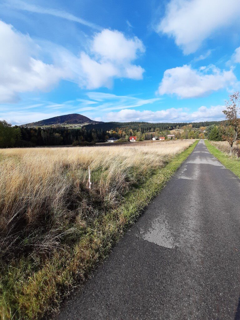 Działka budowlana na sprzedaż Ptaszkowa  1 100m2 Foto 9