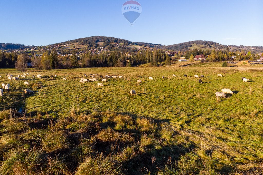 Działka rolna na sprzedaż Kościelisko  2 957m2 Foto 9