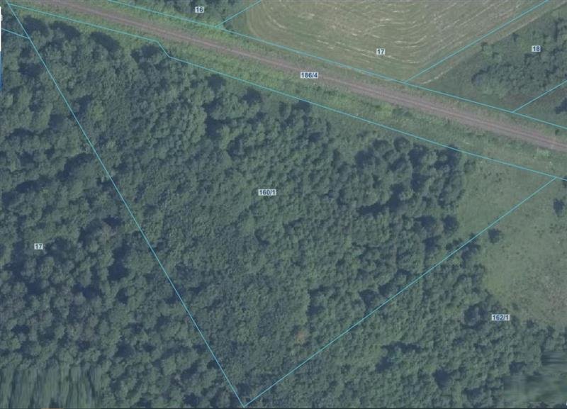 Działka inna na sprzedaż Sińczyca, Sińczyca  14 200m2 Foto 1