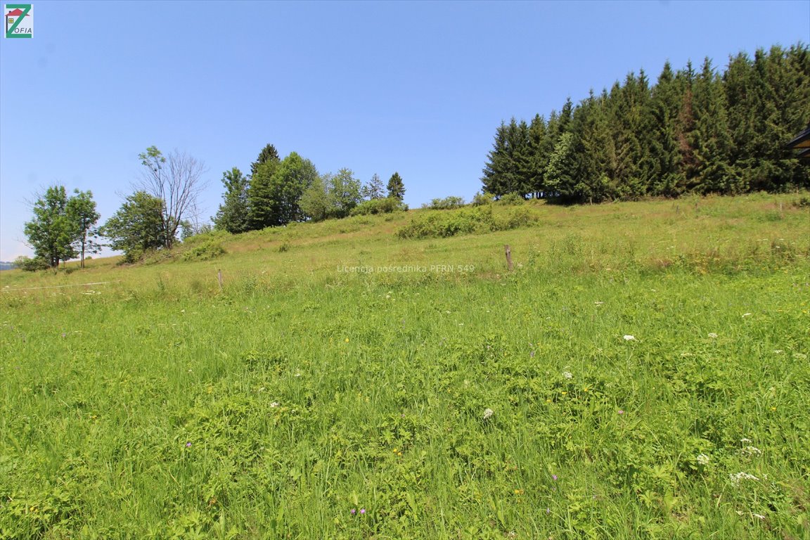 Działka rolna na sprzedaż Czarna Góra  1 750m2 Foto 6