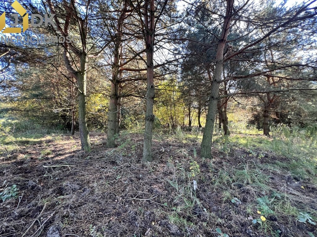 Działka budowlana na sprzedaż Kożuszki-Parcel  1 273m2 Foto 2